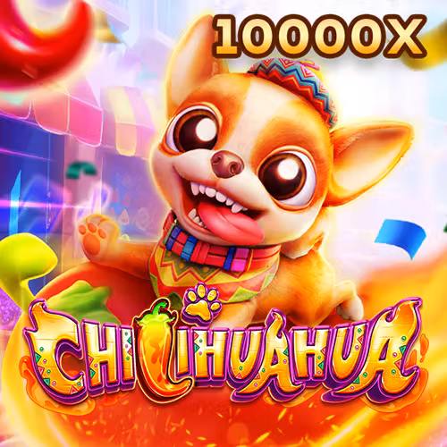 Hình ảnh Fachai Chihuahua
